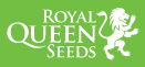 Royal Queen Seeds 